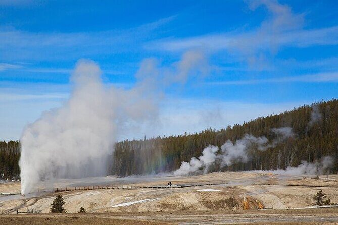 Best of Yellowstone Tour from Paradise Valley - Private Tour - Who Should Consider This Tour?