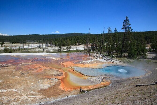 Best of Yellowstone Tour from Paradise Valley - Private Tour - FAQ
