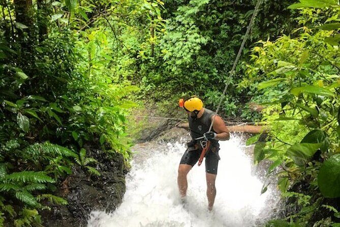 Best Original Waterfall Rappelling Wet and Wild Tour + Tractor Jungle Tour - The Full Experience: What to Expect