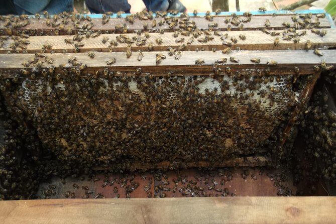 Best Private Tour Cu Chi Tunnels and Mekong Delta Full Day - Key Points