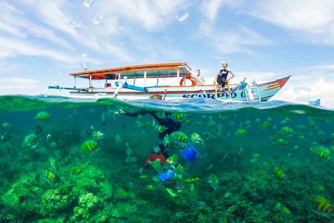 Best Snorkeling Lombok: Gili Nanggu, Gili Kedis & Gili Sudak Day-Trip - Practical Tips for Your Trip