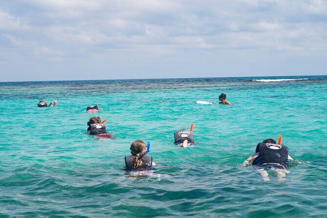 Best SpeedBoat and Snorkeling tour with Transfer from Cancun - Key Points