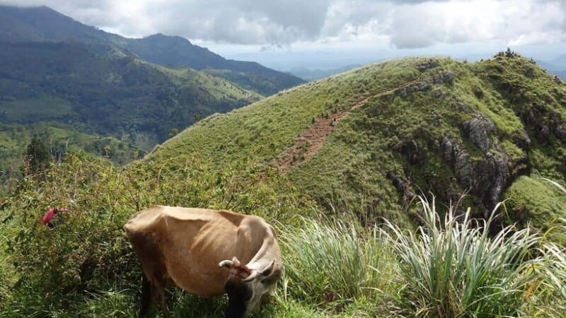 Best Sri Lanka Travel Guide: Top Attractions Discover - FAQ