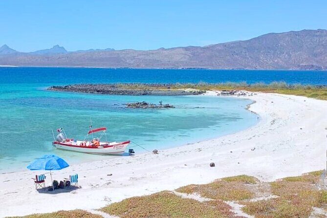 Best Tour to Coronados Island - Discover Coronado Island: Loreto’s Hidden Gem