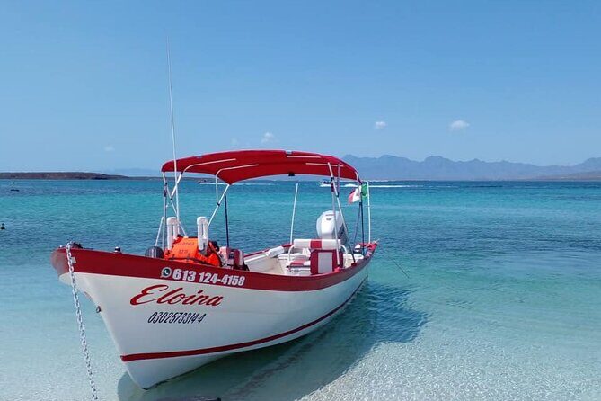 Best Tour to Coronados Island - In-Depth Look: Why This Tour Stands Out