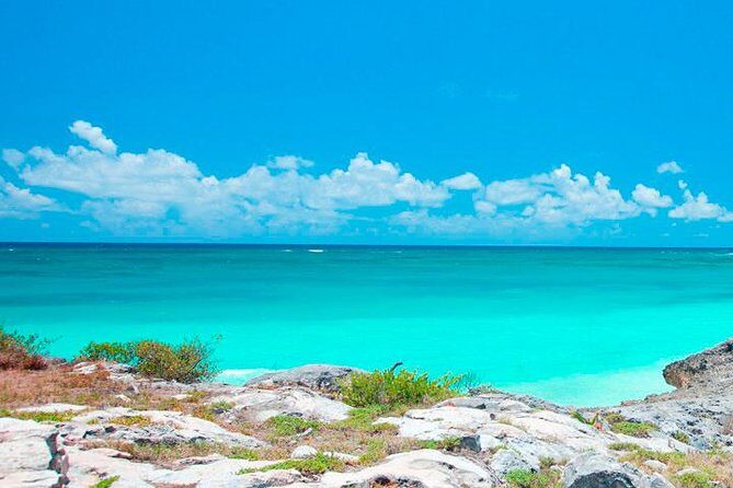 Best Tour to Tulum, Coba and Playa Del Carmen. No hidden fees! - Who Should Book This Tour?