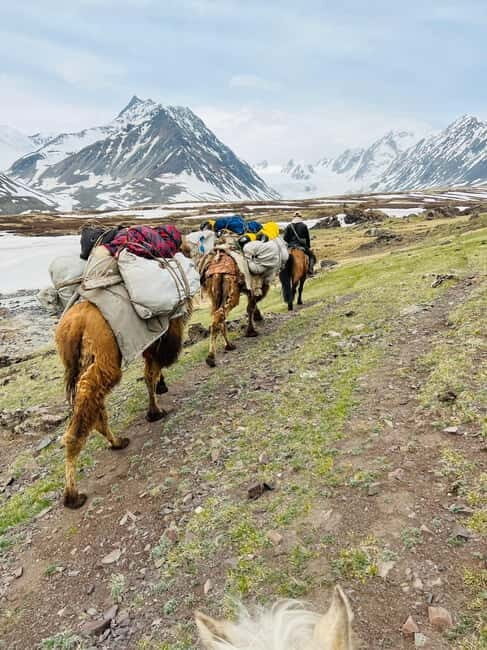 Best trekking tour in Mongolia - Exploring Mongolia’s Best Trekking Adventure