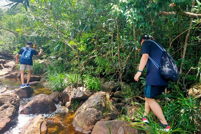 Best Trekking Tour In Phu Quoc (a Ngon Waterfall) - Exploring Phu Quoc’s Highest Waterfall: A Detailed Review
