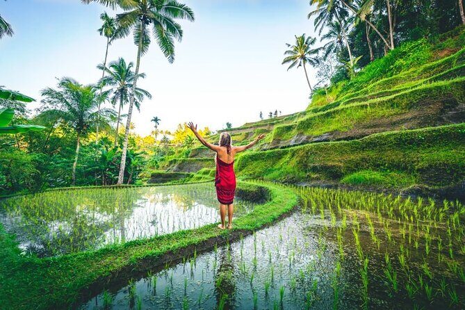 Best Ubud Jungle Swing Experience - All Inclusive Tour - In-Depth Review of the Ubud Jungle Swing Experience