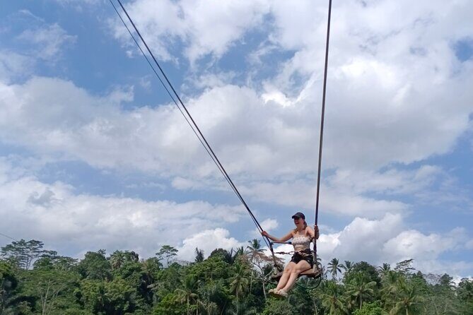 Best Ubud Tours -All inclusive with private driver - The Travel Experience: Comfort and Convenience