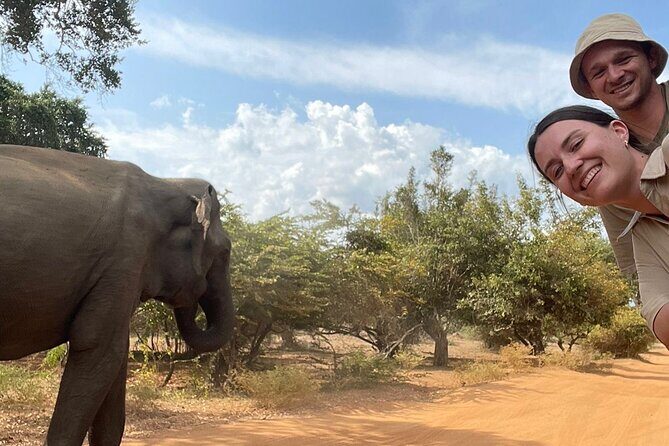 Best Value Yala Safari: Spot Leopards, Elephants & Bears (Shared) - Authentic Experiences in Yala: What Travelers Say