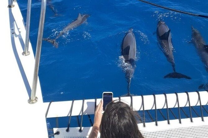 Best Waikiki Snorkel Tour: Guaranteed Turtles at Turtle Canyon - Frequently Asked Questions