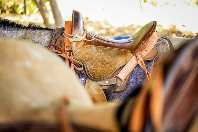 Best Waterfall Rappelling+ Zipline+Tractor Jungle Tour and Rainforest Horseback - Frequently Asked Questions