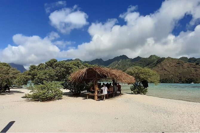 Best Way to Interact with Ocean Wildlife with Lunch. 6H - The Full Experience of Moorea’s Ocean Wildlife Tour
