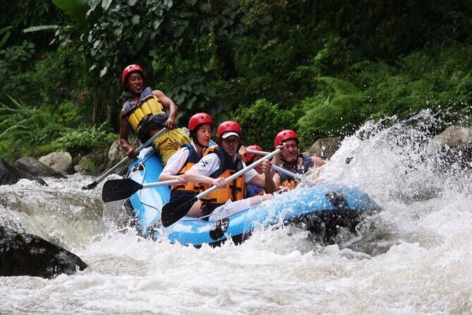 Best White Water Rafting with Lunch and Private Transfer in Bali - Key Points