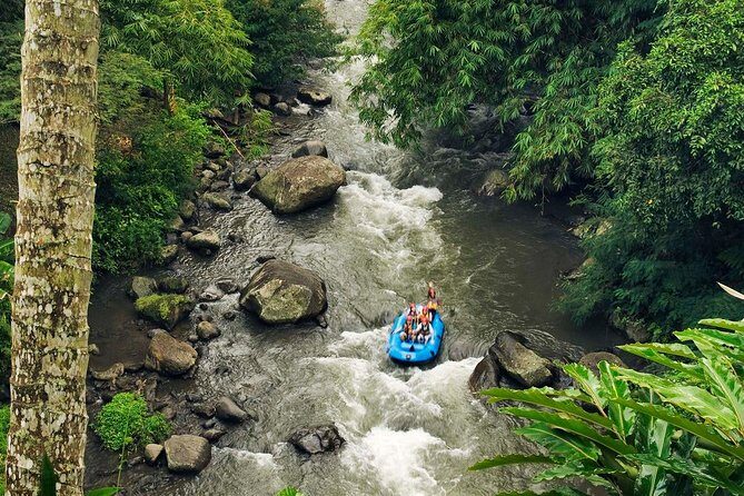 Best White Water Rafting with Lunch and Private Transfer in Bali - Final Thoughts: Who Will Love This Tour?