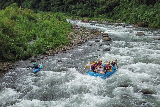 Best Whitewater Rafting Sarapiqui River, Costa Rica, Class III-IV - Key Points