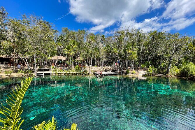 Bestseller! Tulum Private Tour with Turtles and Cenote Snorkeling - Who Should Consider This Tour?