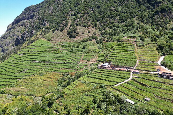 Bestselling Wine Tour, Tasting Experience & Skywalk 4x4 Adventure - Final Thoughts
