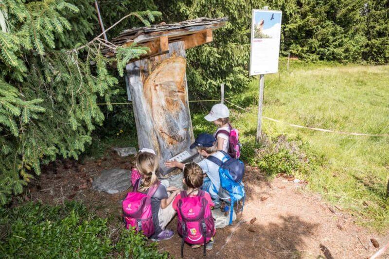 Betelberg: Marmot Trail with Interactive Play Stations - Exploring the Swiss Alps’ Marmot Trail with Interactive Play Stations