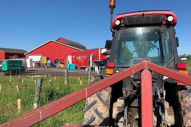 Between The Lines Classic Wine Tasting - Final Thoughts