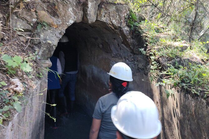 Between Tunnels and Bats - Exploring the Underground and Watching Bats in Action