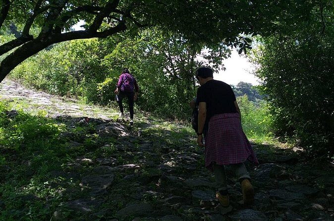 Between Tunnels and Bats - Who This Tour Is Best For