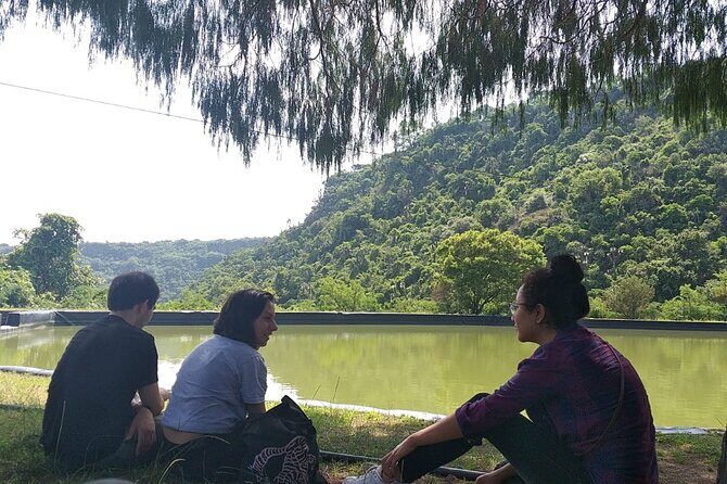 Between Tunnels and Bats - Frequently Asked Questions