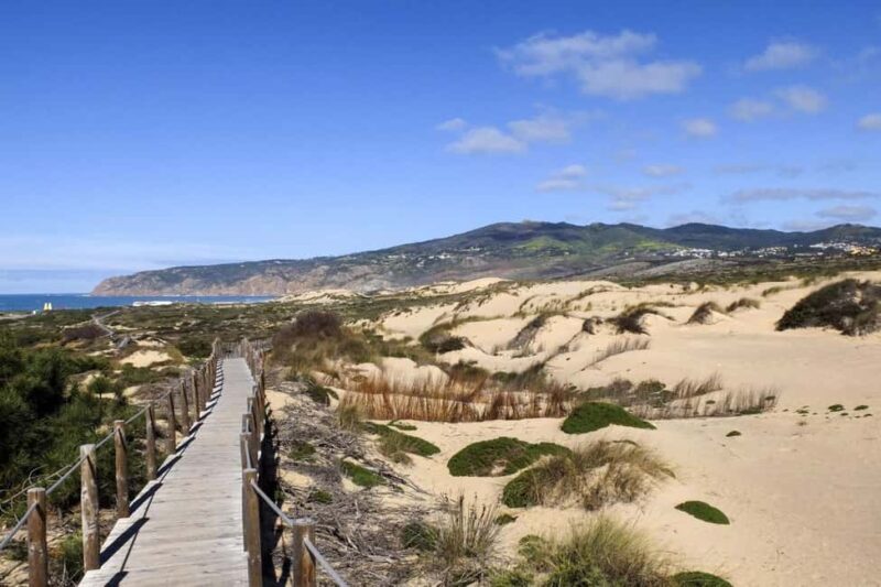 Between Worlds: Emotional Journey Through Sintra & Cascais - Who Should Consider This Tour?