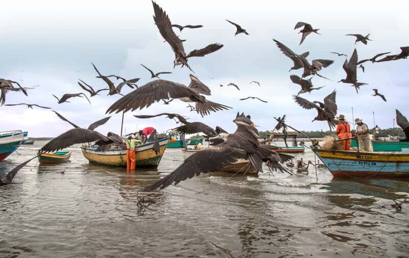 Bewitching Islands and Mangroves in Puerto Pizarro, Tumbes - Key Points