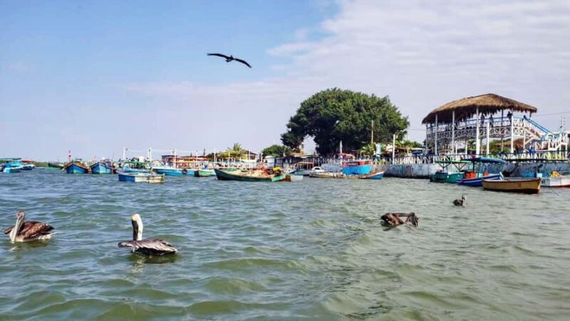 Bewitching Islands and Mangroves in Puerto Pizarro, Tumbes - What Makes This Tour Stand Out?
