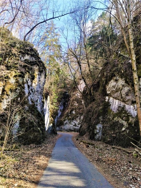 Beyond Brno: Best of Czech Caves - Full-Day Hiking Tour - Exploring the Moravian Karst: A Guided Tour (2 Hours)