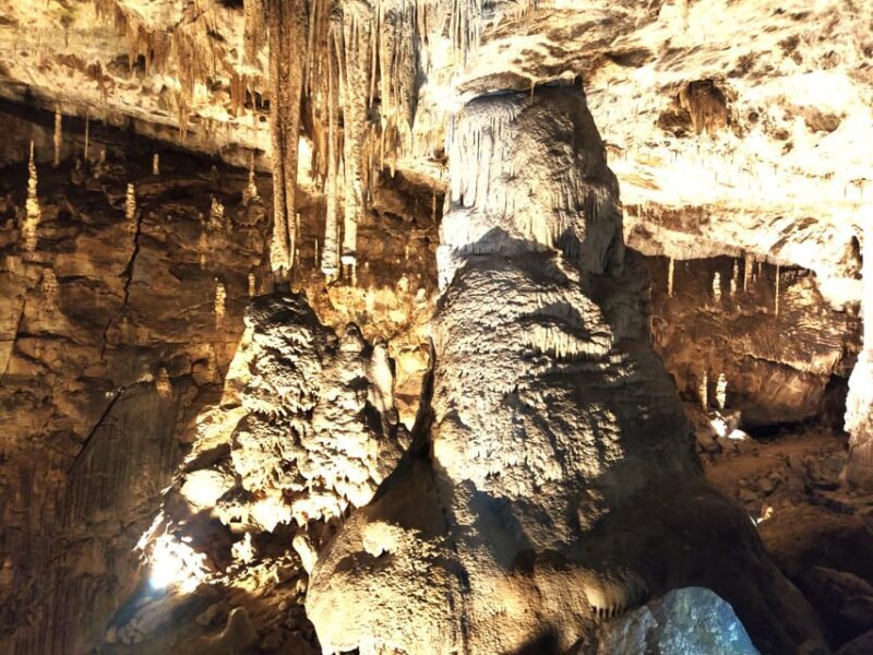 Beyond Brno: Best of Czech Caves - Full-Day Hiking Tour - Return Journey and Final Thoughts