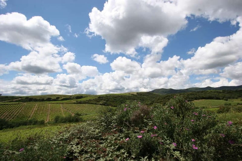 Beziers: Eco Wine Tasting at Sarabande Wines Off-Grid Winery - FAQs