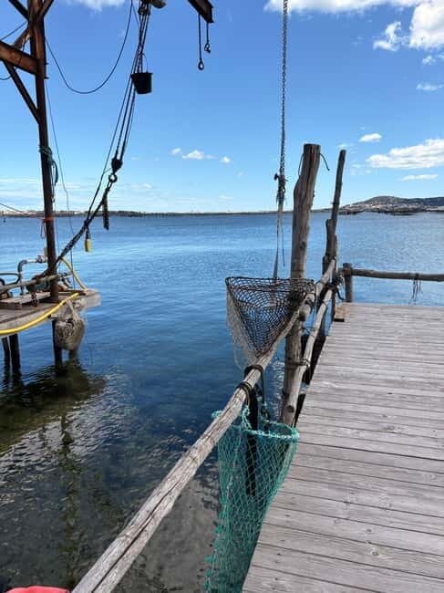Béziers: Wine and Oyster Tasting Tour at Thau lagoon - An In-Depth Look at the Béziers Wine and Oyster Tasting Tour