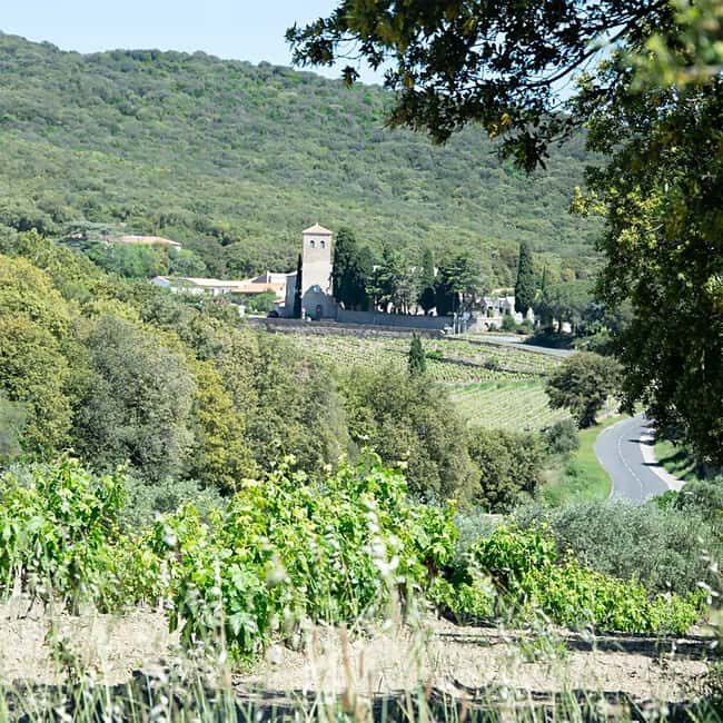 Béziers : Wine Tours & Wine tasting - Key Points