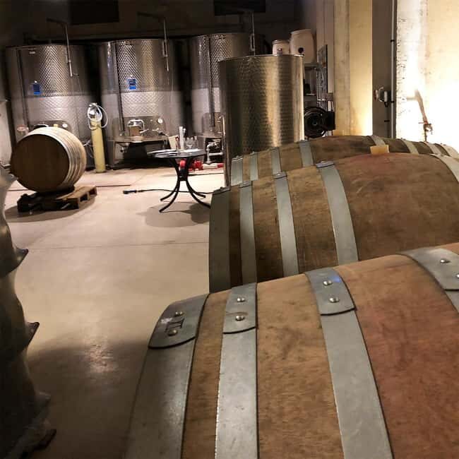 Béziers : Wine Tours & Wine tasting - An In-Depth Look at the Béziers Wine Tour