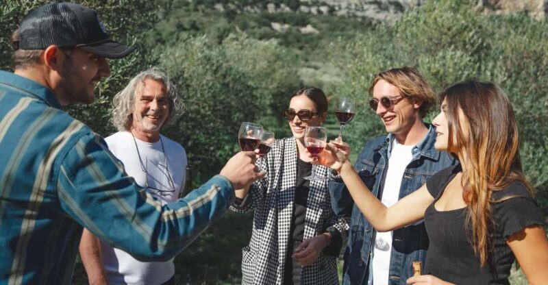 Béziers : Wine Tours & Wine tasting - Potential Drawbacks and Considerations