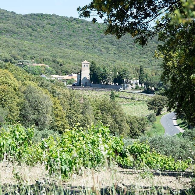 Béziers : Wine Tours & Wine tasting - Who Is This Tour Best For?