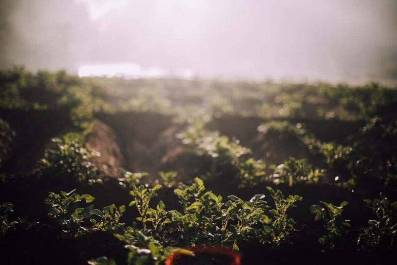 Bhaktapur: 3-Day Herb Nepal Farm Stay with Meals - Key Points