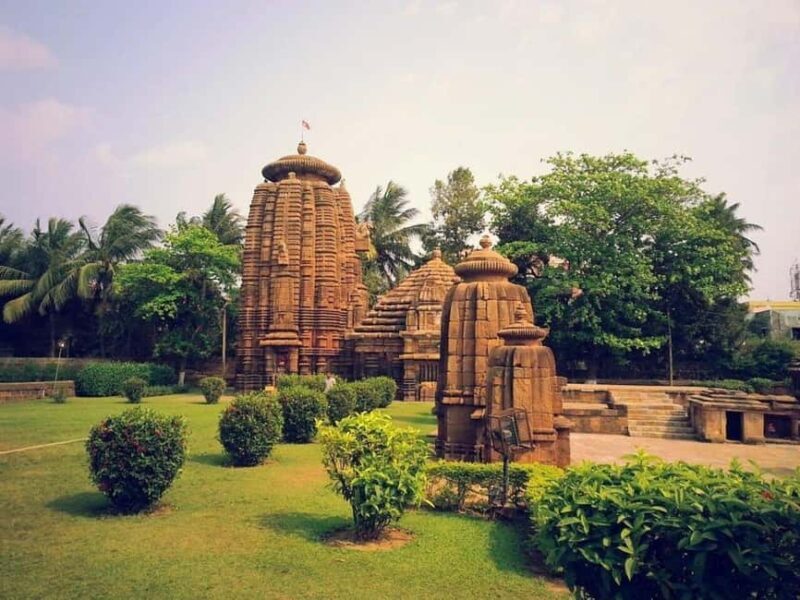 Bhubaneswar: Temples and Puri Private Day Tour - What to Expect on the Tour