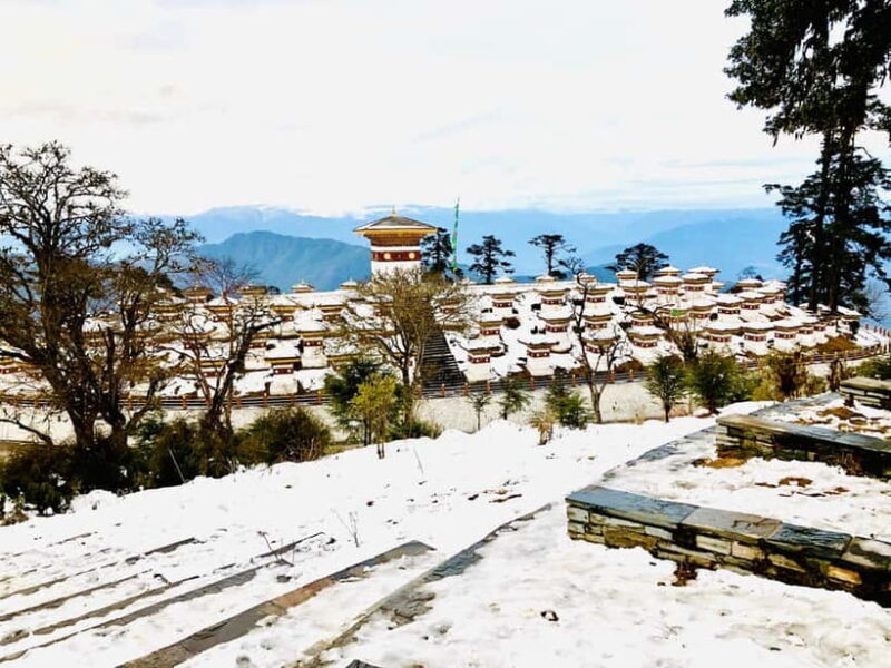Bhutan: 7-Day Cultural Tour of Paro, Thimphu, and Punakha - Bhutan: 7-Day Cultural Tour of Paro, Thimphu, and Punakha