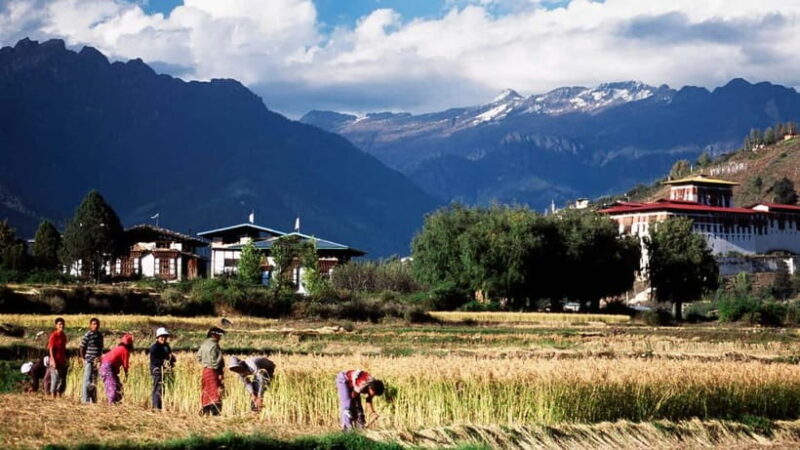 Bhutan Glimpse - What Makes This Tour Stand Out?