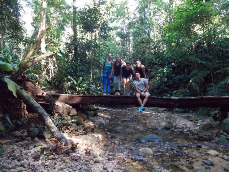 Bico do Papagaio Guided Hiking Tour in the Tijuca Forest - The Sum Up
