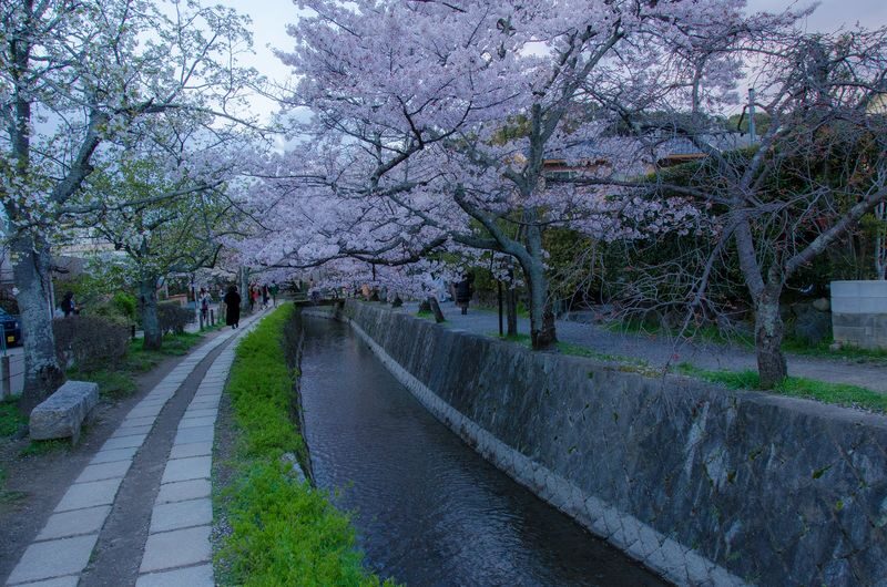 Bicycle Adventure Experience in Kyoto - Nanzenji and the quieter northern route