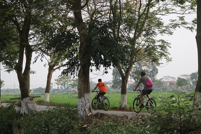 Bicycle Tour Full Day Explore Red River Delta & Rural Villages - Key Points