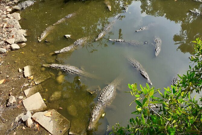 Bicycle Tour in Ixtapa - Practical Details and Considerations