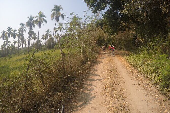Bicycle Tour in Ixtapa - Authentic Insights from Travelers