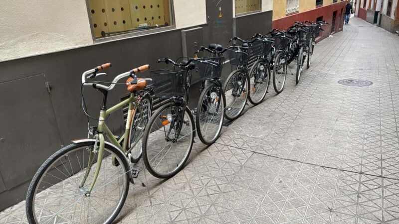 Bicycle tour of Seville - Key Points