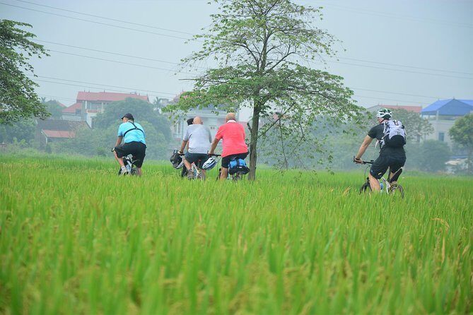 Bicycle Tours Hanoi: Full Day Bicycle Tour Hanoi Countryside - The Sum Up